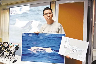 白海豚在港生活环境严峻团体吁设海岸公园(图)