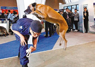 港又曝警犬袭警事件马莲莱犬咬伤警员被隔离(图)