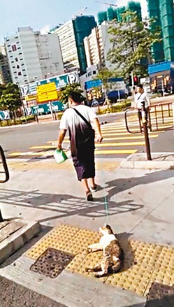 港曝恐怖虐猫案南亚男子剖开猫腹游街笑容诡异