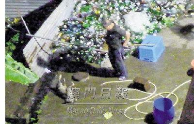 点图查看下一页