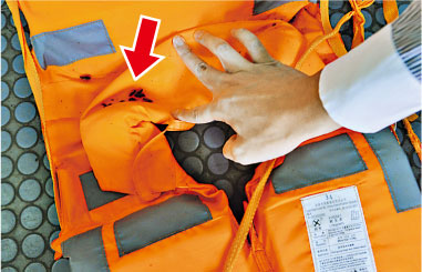 香港有渡船救生衣藏大量蟑螂被批未吸取海难教训