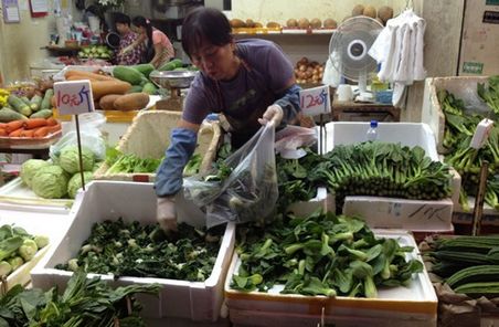 ǿ̨�硰���á���Ϯ�㶫��۲˼�Ӧ�����ͼ��