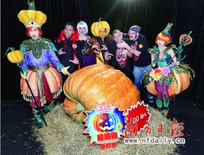 点图查看下一页