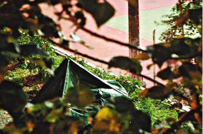 ��������ûϵ��ȫ��31¥������ʧ��׹����ͼ��