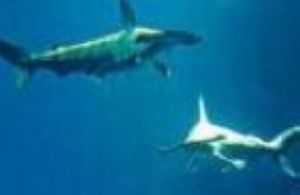 ��ۺ���԰6����ͷ�豩�н��ʽ��Բ������ˣ�ͼ��