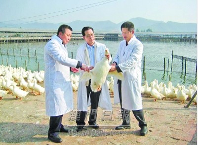 加强隔离检疫广东严管供港澳活禽保安全(图)