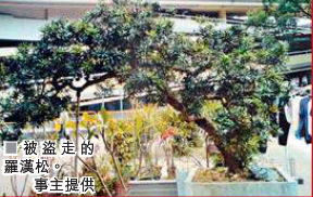 �߼��޺��ɱ���������������40�겻�ϸ