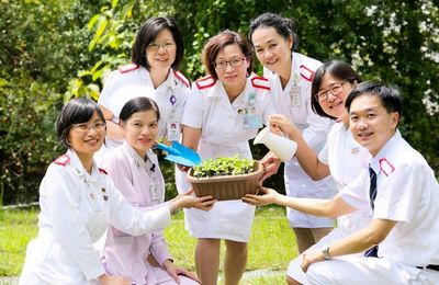 港少妇因交通意外身亡家人捐器官救7人(图)