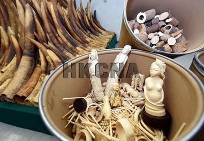 点图查看下一页