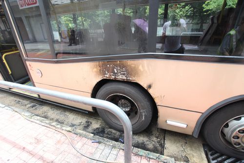 ���һ��ʿ���̥��Ƭ�Ľ�����һŮ�ӣ�ͼ��