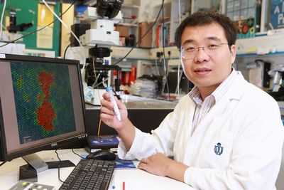 香港两学者获全球华人物理与天文学会“亚洲成就奖”