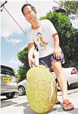 ��Ѯ��������͵�����۱�ץ���ĳ�û�Թ��ŷ���