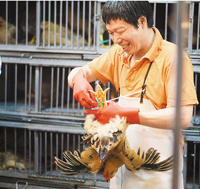 ��۲��г��ָ������ڵػ����������������ͼ��