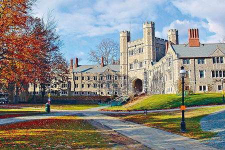 ��۸������������ѧ��ȫ��ռ�������17%