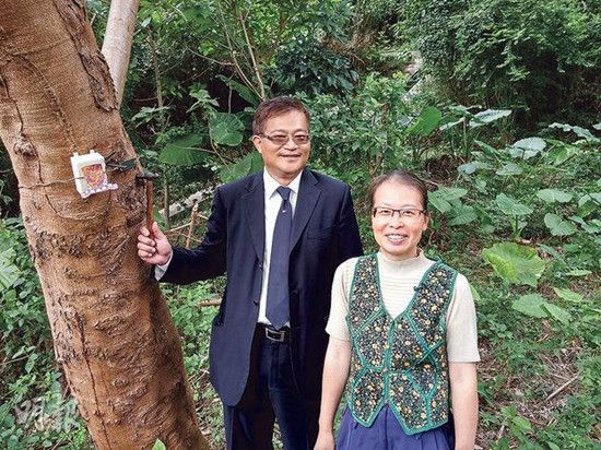 ���д������������ϵͳ�����˿������̱���