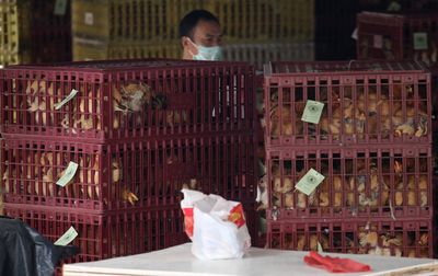 ���ۻ��������в����۸���ͣ�ڵػ��Ӧ