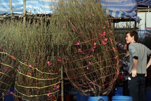 ͼ�����ά԰�������տ�Ļ��ũ�Ѳ��úó���