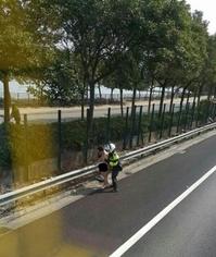 ���һ���ӹ�·���ܾ�����������ԭ��ͼ��