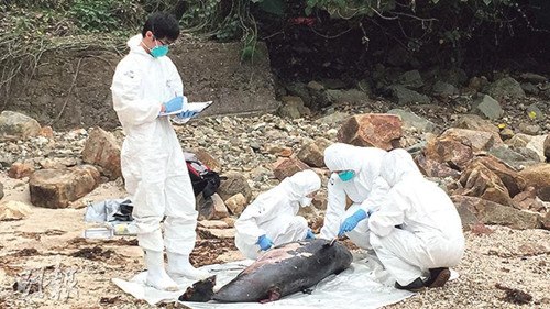 ���һ�շ������ڽ��������¼�������飨ͼ��