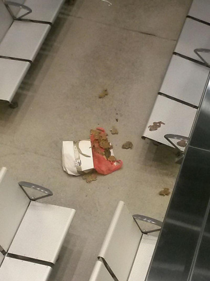 香港一海运码头天降“田鸡弹”30只田鸡散落一地