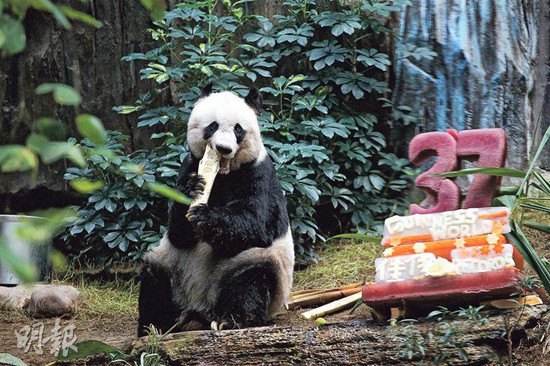 �Ѽѳ���è�硰���𡱵�������110�����������¼