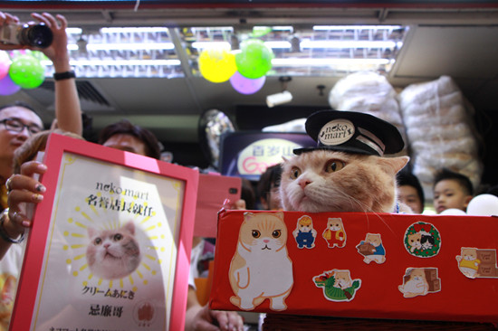 �����è�������硱���ձ������̵�곤��ͼ��