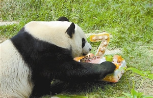 ���������Ŵ���è�������������ջ������Ƶ��⣨ͼ��