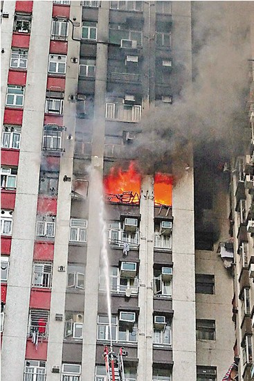 ɥĸ���������������������丸��˯�������𺣣�ͼ��