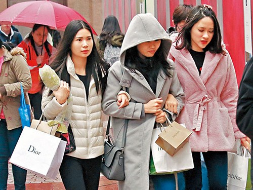寒流逼近香港网民无惧寒冷组团大帽山观霜(图)
