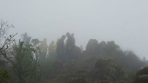 �����������������ʧ��:����������ʺζ�����ż�