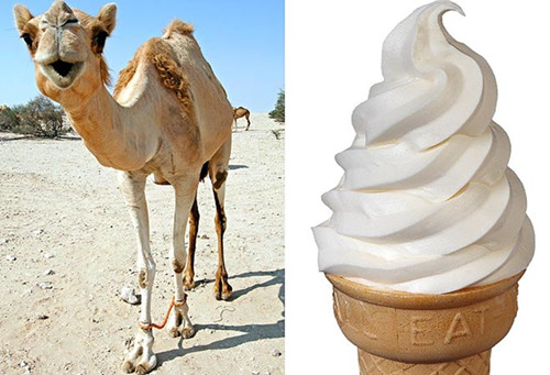 �������̡�����ܽ���Ӣ������Ӫ��������С