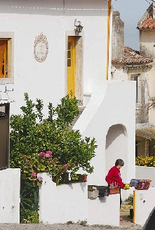 ����ɱ��Խ���ٻ��Ȱ����ط�Ǳ��41��������ͼ��