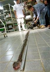 �ձ����ӷ���������۾��߽����ҹ�������ͼ��