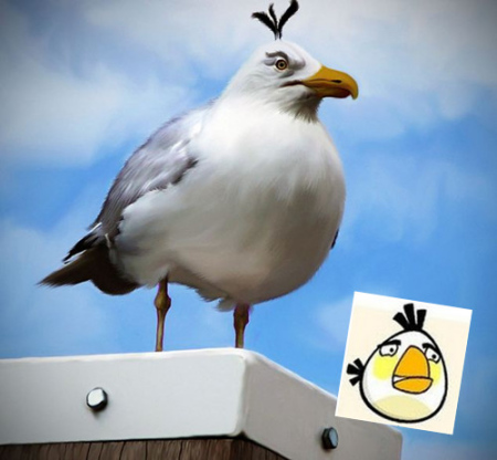 ӡ�������Ҵ���������ŭ��С����ʵ�棨��ͼ����2��