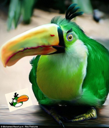 ӡ�������Ҵ���������ŭ��С����ʵ�棨��ͼ����6��