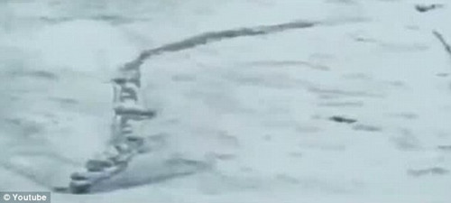 冰岛居民称拍下神秘“水怪”似巨蟒游动(组图)