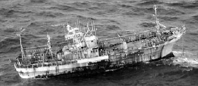 �ա��������������ô�һ��Ư��7000�๫�ͼ��