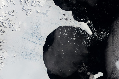 南极半岛一大冰架因全球变暖17年缩水85%（图）