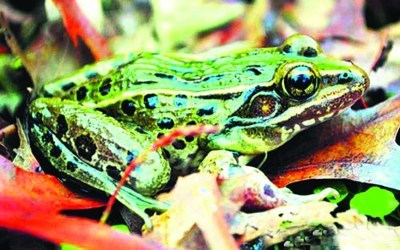 ����ѧ�ҷ������������������ڸֽ�ˮ�ཨ����