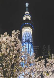 日东京晴空塔首次试亮灯流光溢彩照亮夜空（图）