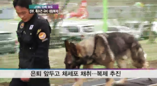韩国政府克隆800只即将退役特殊犬(图)