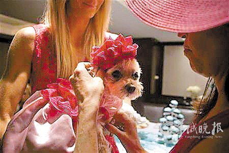 �����������ǹ����������λ���˺��գ�ͼ��