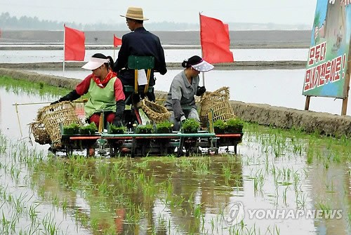 ���ʳ���50�겻���ɺ�������ǿ��ũҵ��Ҫ��