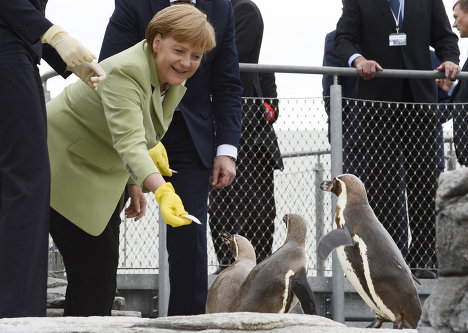 德国总理默克尔开会“忙里偷闲”喂企鹅(组图)