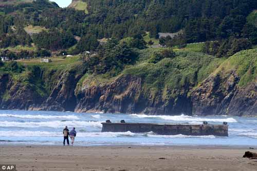 日本船坞地震后漂流8000公里到达美西海岸(图)