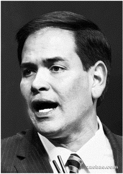 罗姆尼称正认真考虑美大选共和党副总统人选
