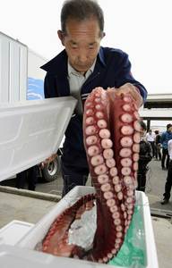 福岛首次销售近海鱼贝类产品称没有放射性物质