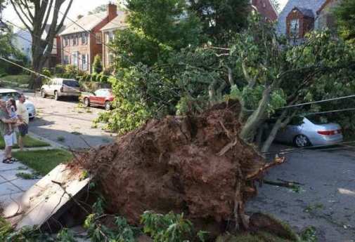 美国首都等地遭暴风雨袭击13人死350万人断电