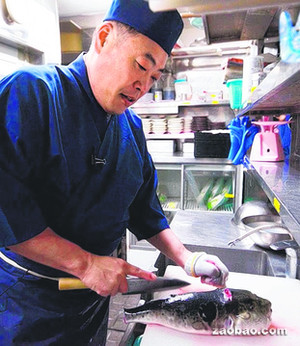 日本政府放松监管东京餐馆将提供河豚料理(图)