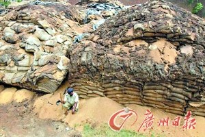 ӡ����ʳ�˷����ظ�Դ�������ɹ��ͷ������